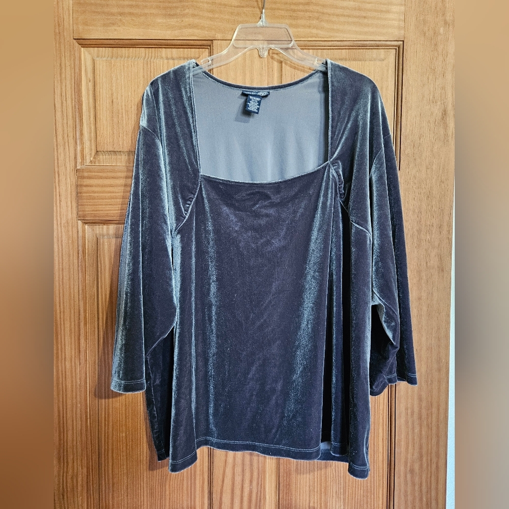 Shimmery Velor style top